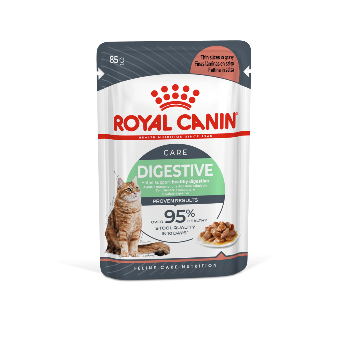 Feline Care Nutrition Digest Sensitive Gravy