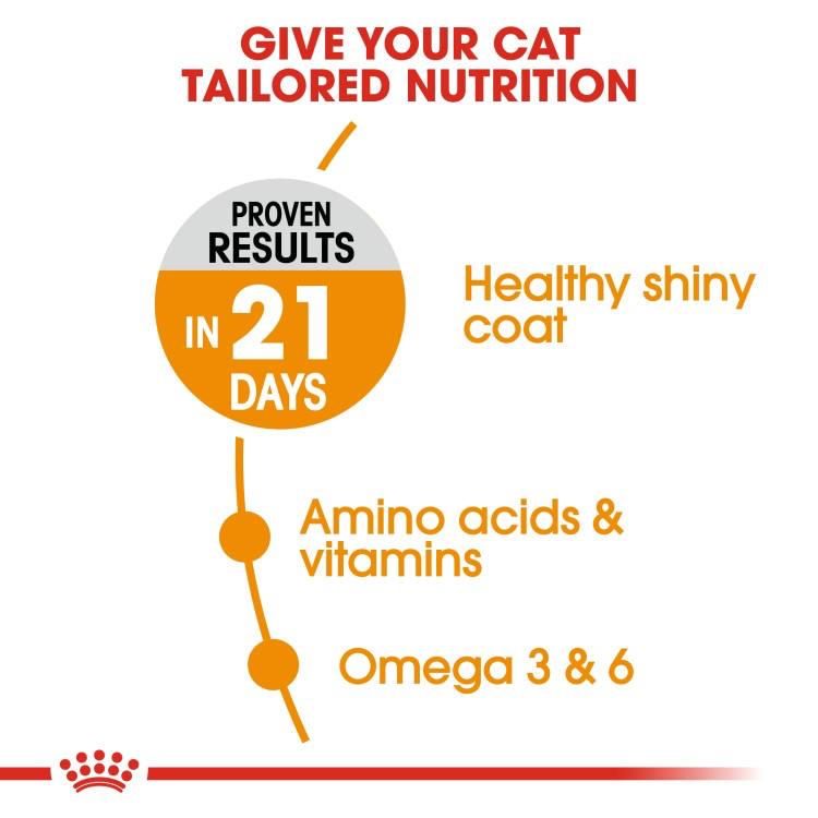 Feline Care Nutrition Hair & Skin