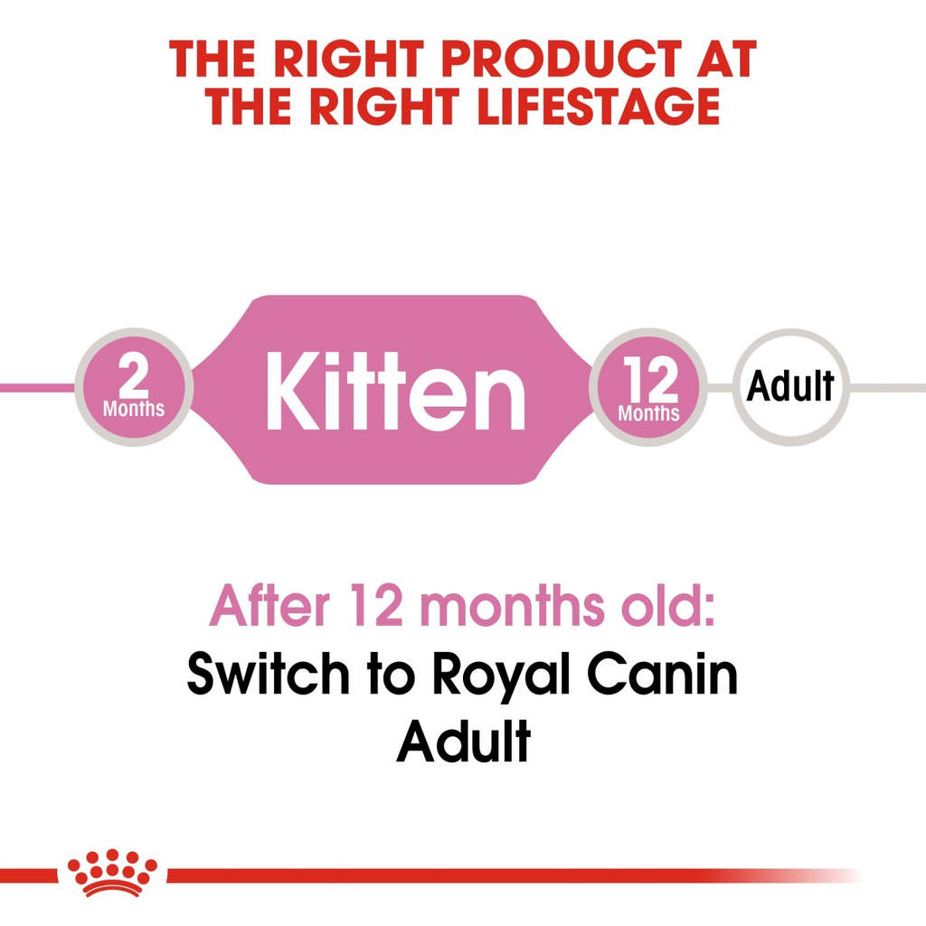 Feline Health Nutrition Kitten