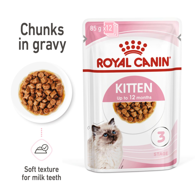 Feline Health Nutrition Kitten