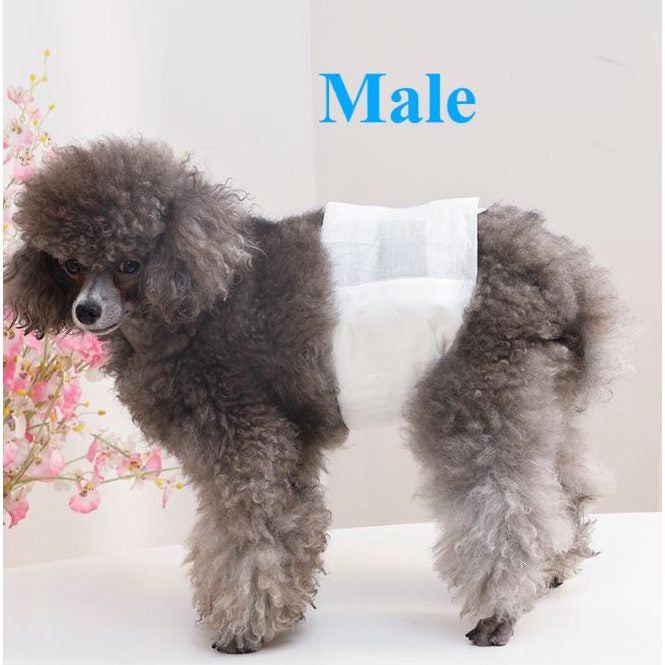 Pakeway Male Dog Pet Diaper