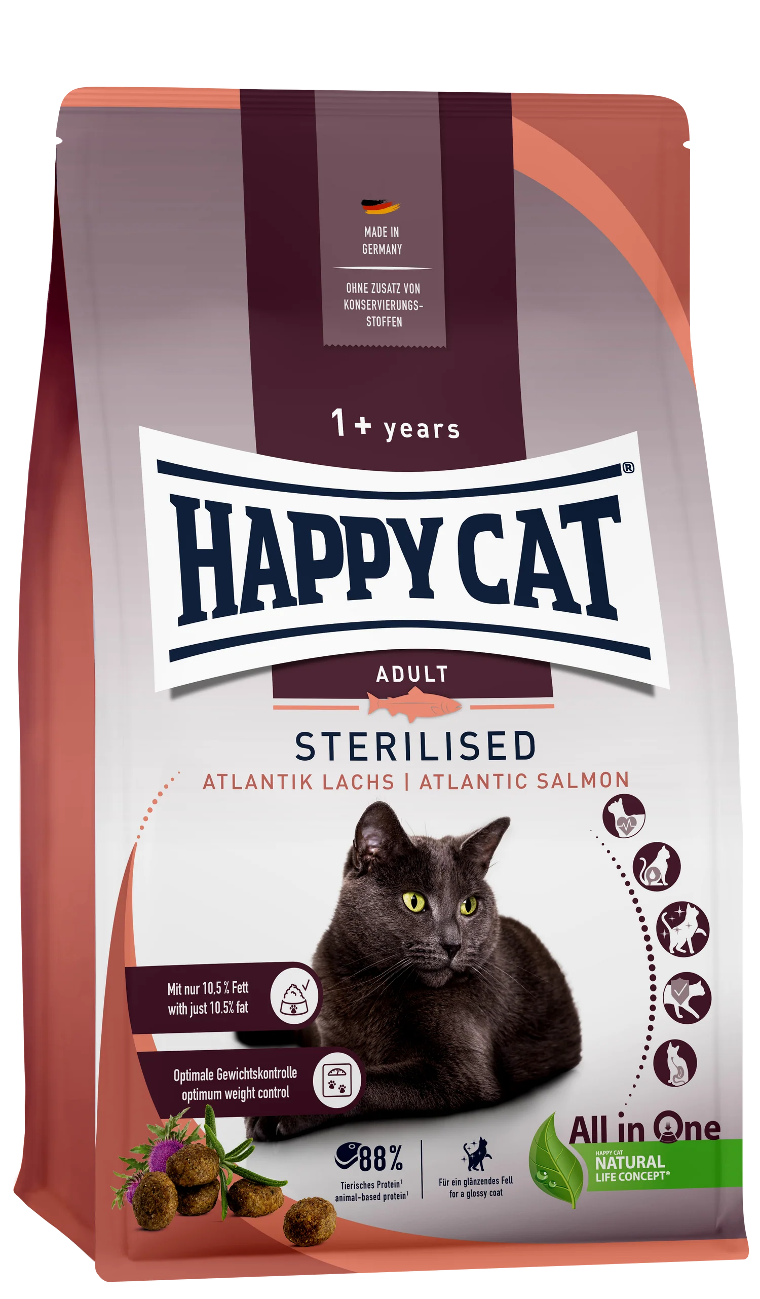 Sterilised Atlantic Salmon