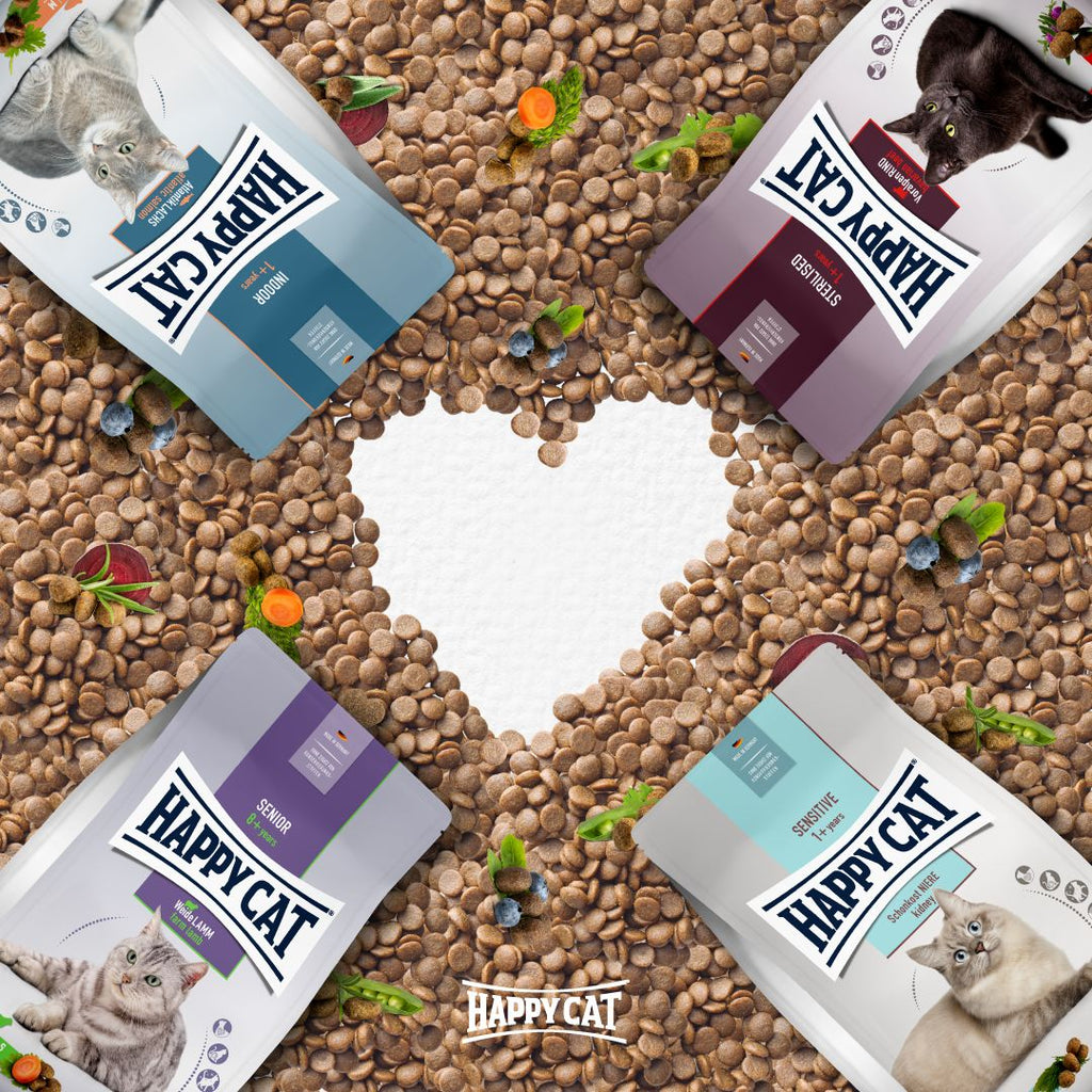 Sterilised Atlantic Salmon