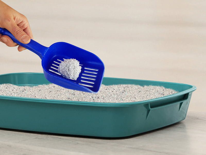 Kiki Kat White Bentonite Clumping Cat Litter – Lavender – 5L (4.35 Kg)