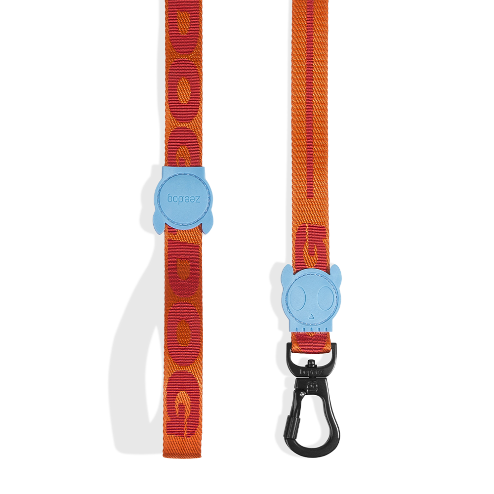 Zee.Dog Astro Leash