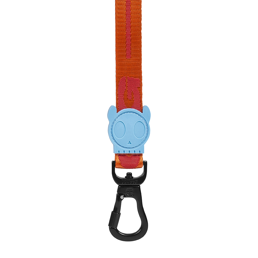 Zee.Dog Astro Leash