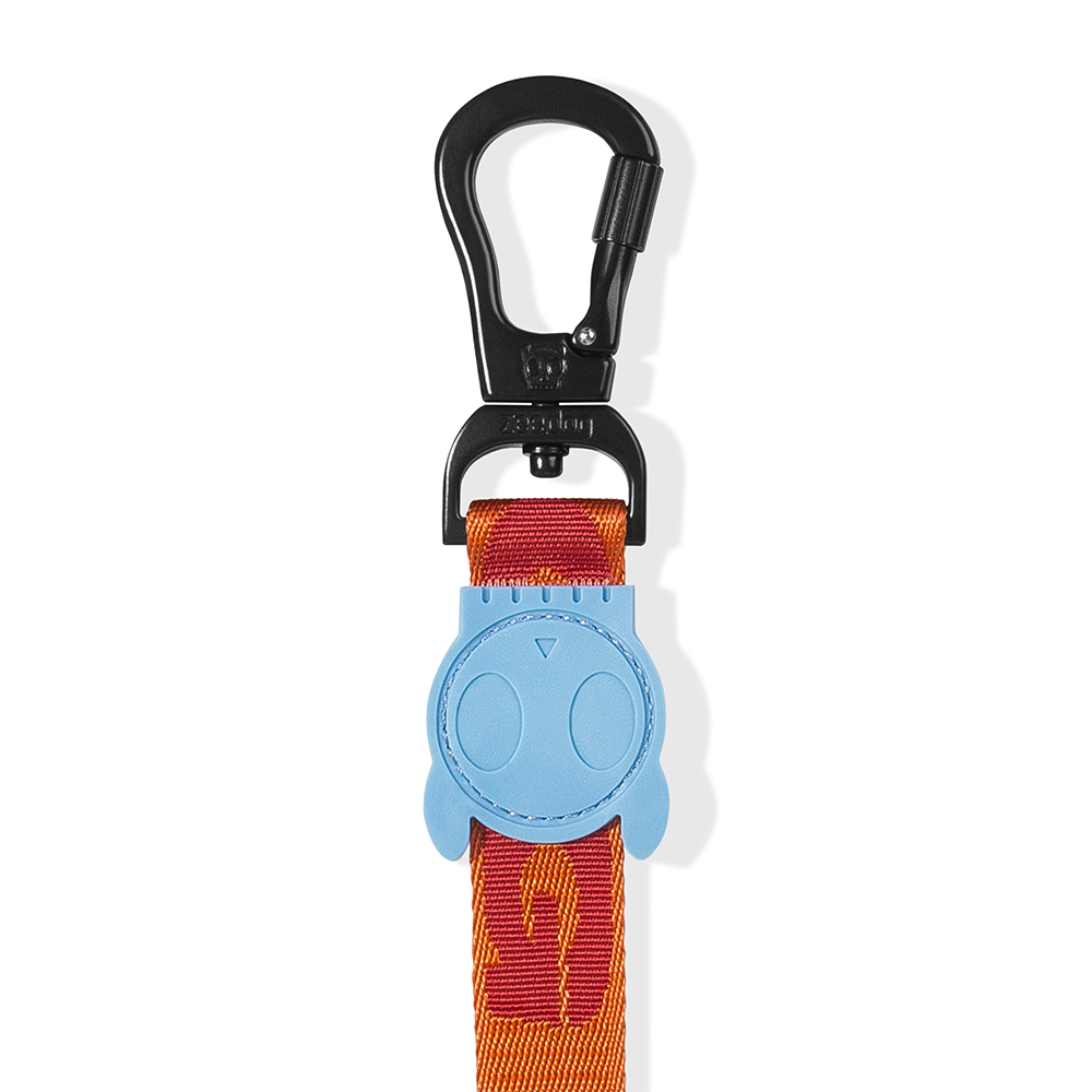 Zee.Dog Astro Leash