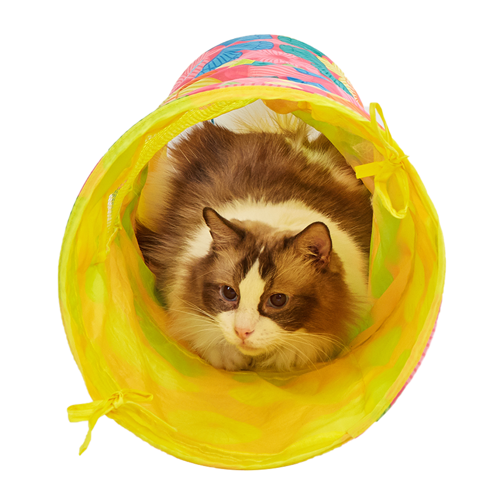 NEW
FOFOS Floral Pop Up Cat Tunnel